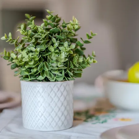 Charles Bridge * Praga